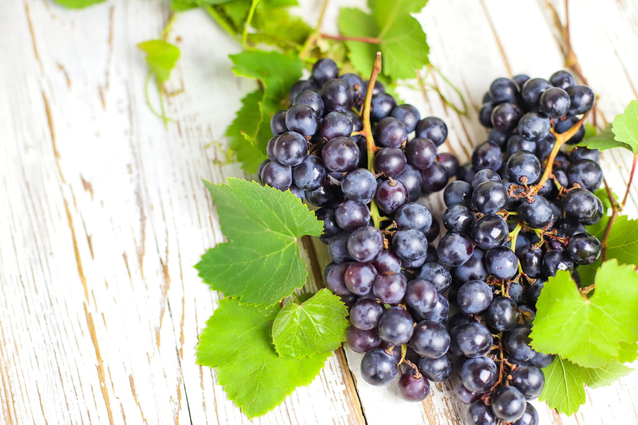Black seedless grapes benefits