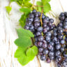 Black seedless grapes benefits